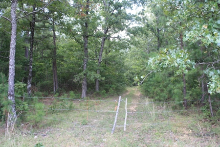 Wayne County Missouri Land For sale 317 acres - image 3