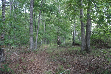 Wayne County Missouri Land For sale 317 acres - image 1