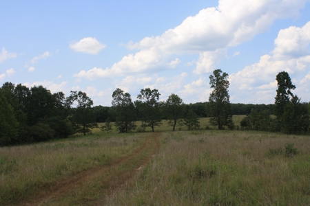 Wayne County Missouri land for sale 188.35 Acres - image 3