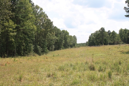 Wayne County Missouri land for sale 188.35 Acres - image 6