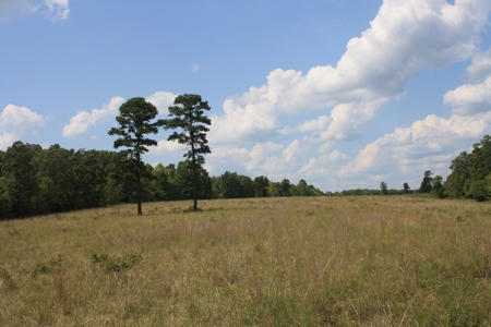 Wayne County Missouri land for sale 188.35 Acres - image 2