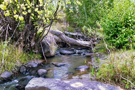 Colorado hobby farm on 40 acres with running creek & views - image 17