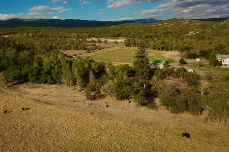 Colorado hobby farm on 40 acres with running creek & views - image 46