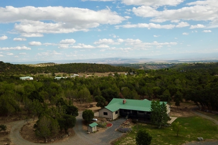 Colorado hobby farm on 40 acres with running creek & views - image 10
