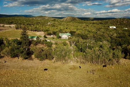 Colorado hobby farm on 40 acres with running creek & views - image 45