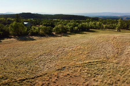 Colorado hobby farm on 40 acres with running creek & views - image 22