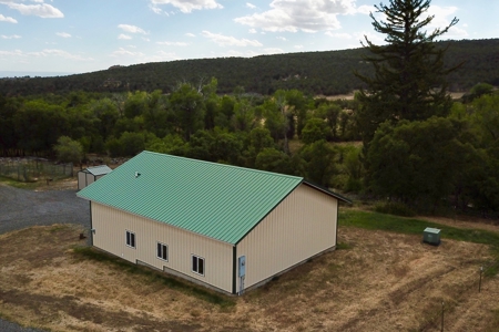 Colorado hobby farm on 40 acres with running creek & views - image 9