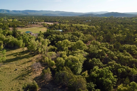 Colorado hobby farm on 40 acres with running creek & views - image 23