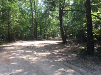 Hunting Property Land Timberland For Sale Franklin County MS - image 13