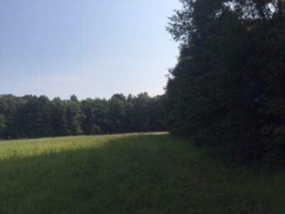 Hunting Property Land Timberland For Sale Franklin County MS - image 5