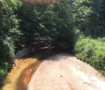 Hunting Property Land Timberland For Sale Franklin County MS - image 14