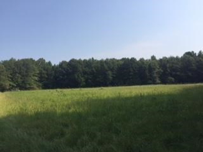 Hunting Property Land Timberland For Sale Franklin County MS - image 1