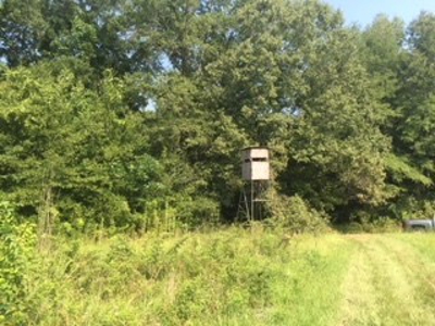 Hunting Property Land Timberland For Sale Franklin County MS - image 6