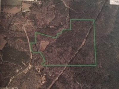 Hunting Property Land Timberland For Sale Franklin County MS - image 11