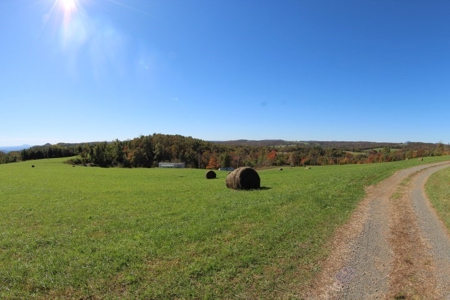 10  Acres Of  Land For Sale In Patrick County, Va - image 15