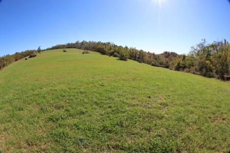 10  Acres Of  Land For Sale In Patrick County, Va - image 7