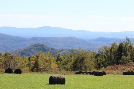 10  Acres Of  Land For Sale In Patrick County, Va - image 4