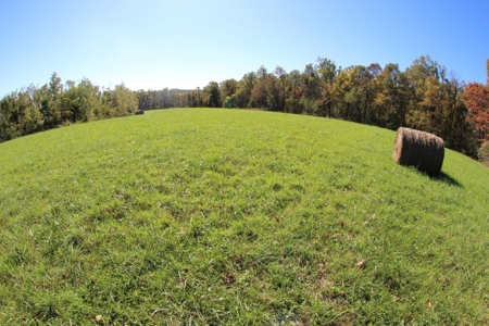 10  Acres Of  Land For Sale In Patrick County, Va - image 12