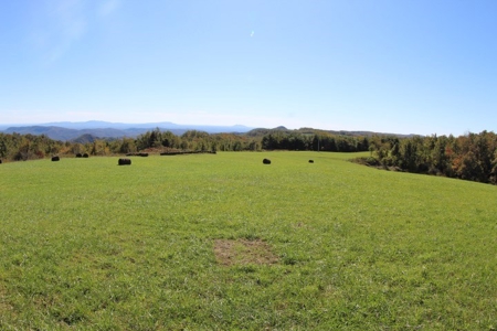 10  Acres Of  Land For Sale In Patrick County, Va - image 2