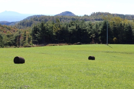 10  Acres Of  Land For Sale In Patrick County, Va - image 5