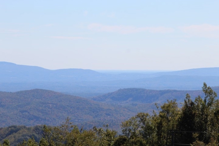 10  Acres Of  Land For Sale In Patrick County, Va - image 9