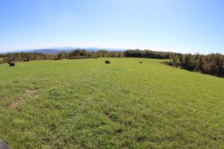 10  Acres Of  Land For Sale In Patrick County, Va - image 14