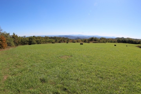 10  Acres Of  Land For Sale In Patrick County, Va - image 1