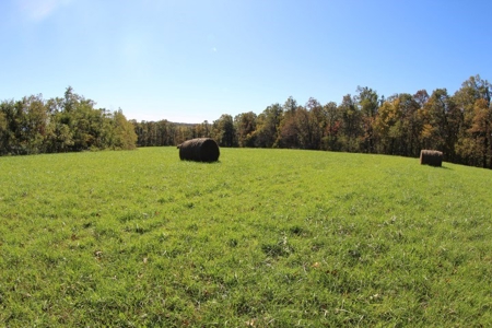 10  Acres Of  Land For Sale In Patrick County, Va - image 11