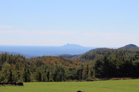 10  Acres Of  Land For Sale In Patrick County, Va - image 16