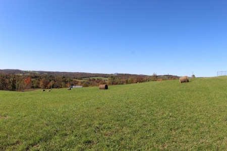 10  Acres Of  Land For Sale In Patrick County, Va - image 13
