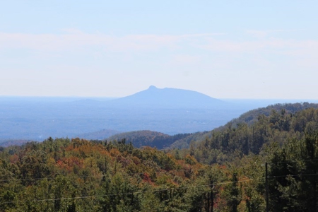 10  Acres Of  Land For Sale In Patrick County, Va - image 8