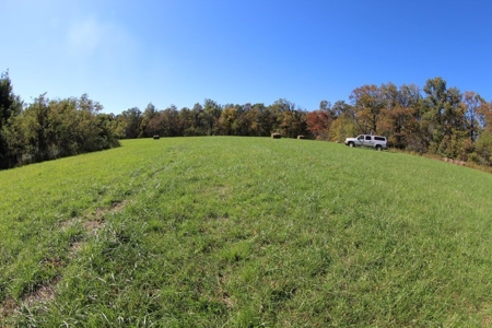 10  Acres Of  Land For Sale In Patrick County, Va - image 10