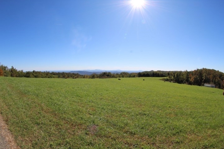 10  Acres Of  Land For Sale In Patrick County, Va - image 3