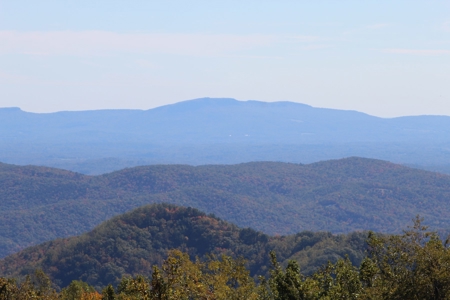 10  Acres Of  Land For Sale In Patrick County, Va - image 6