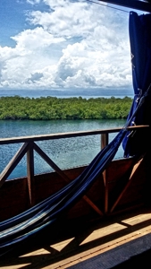 Over the Sea  Coastal Home, Bocas del Toro, Panama - image 3