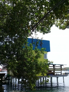 Over the Sea  Coastal Home, Bocas del Toro, Panama - image 16
