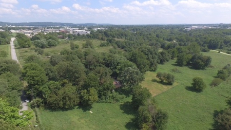 Springdale AR Development Potential, Land For Sale - image 4