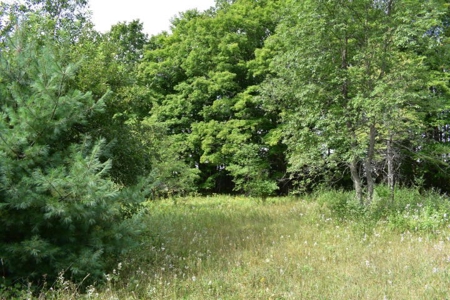 Northern MI Hunting Property for Sale Atlanta MI - image 11