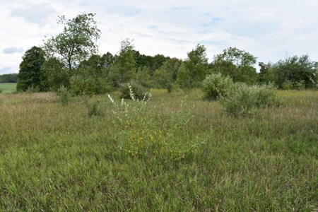 Northern MI Hunting Property for Sale Atlanta MI - image 2