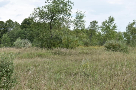 Northern MI Hunting Property for Sale Atlanta MI - image 6