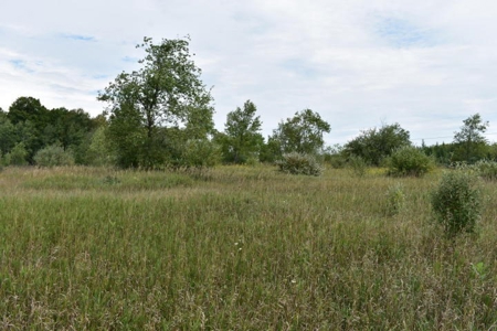 Northern MI Hunting Property for Sale Atlanta MI - image 5