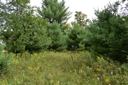 Northern MI Hunting Property for Sale Atlanta MI - image 25