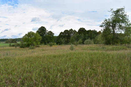 Northern MI Hunting Property for Sale Atlanta MI - image 4