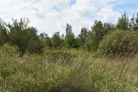 Northern MI Hunting Property for Sale Atlanta MI - image 26