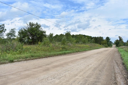 Northern MI Hunting Property for Sale Atlanta MI - image 7