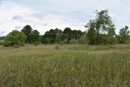 Northern MI Hunting Property for Sale Atlanta MI - image 3