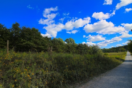 Farm for Sale in Missouri - image 4
