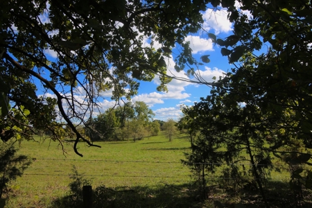 Farm for Sale in Missouri - image 3
