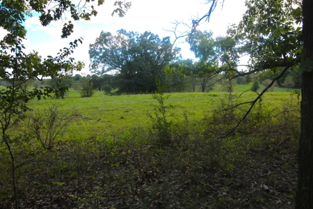 Farm for Sale in Missouri - image 2