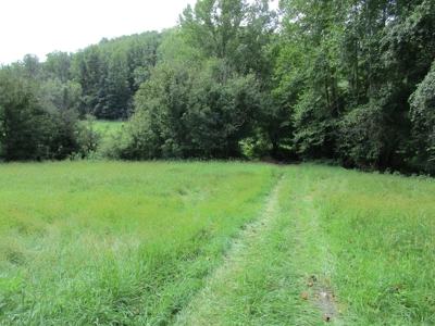 571.43 ACRES OF WV LAND & 614.55 NET MINERAL ACRES OF OGM's - image 6